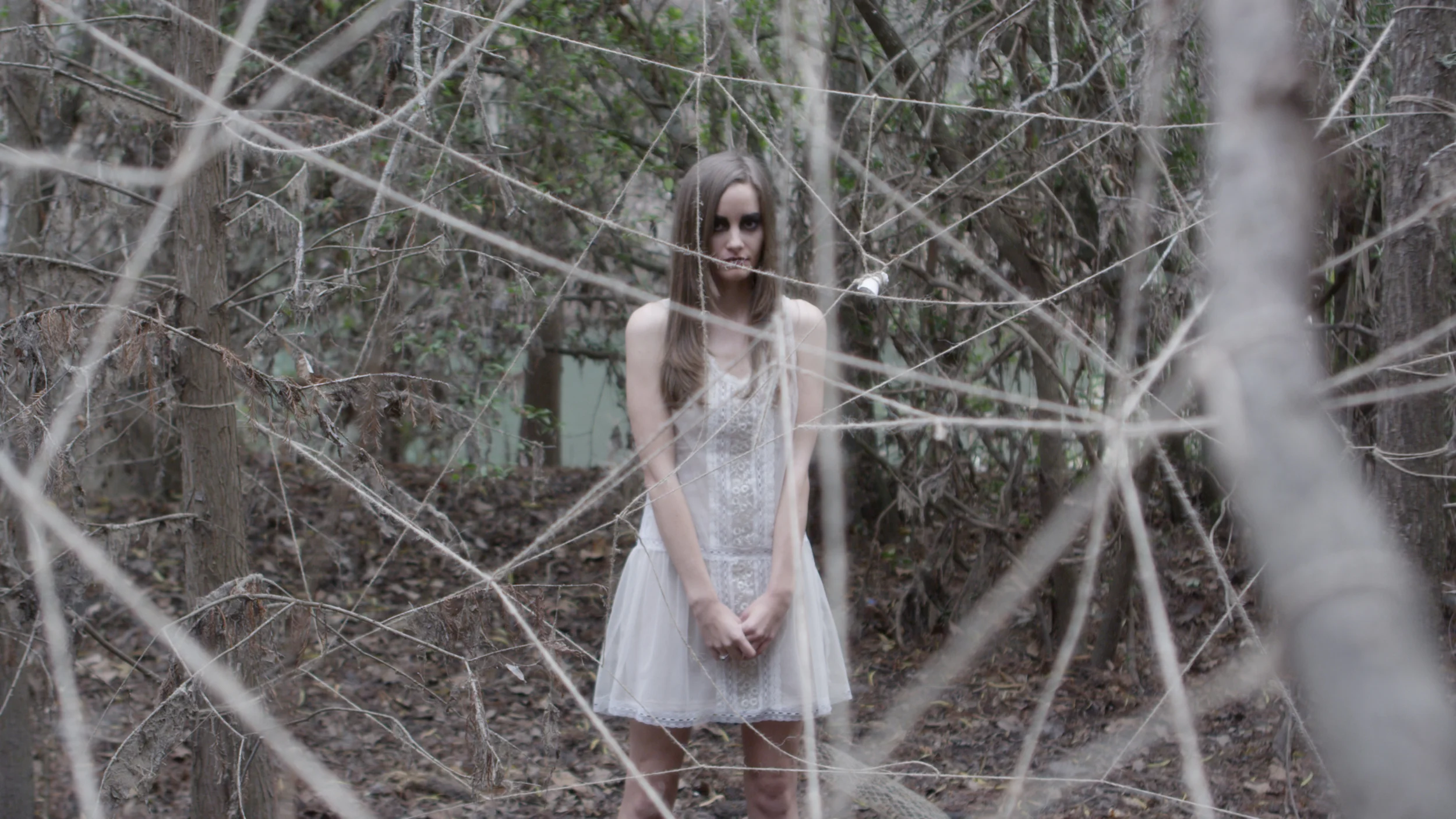 Spiderweb.Still008.jpg