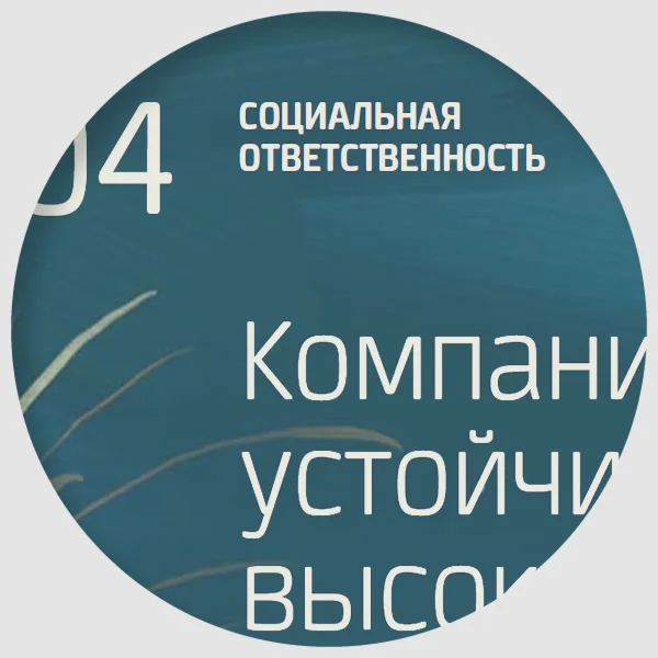 Neuron in use in the Rosneft annual report designed by Volga-Volga .