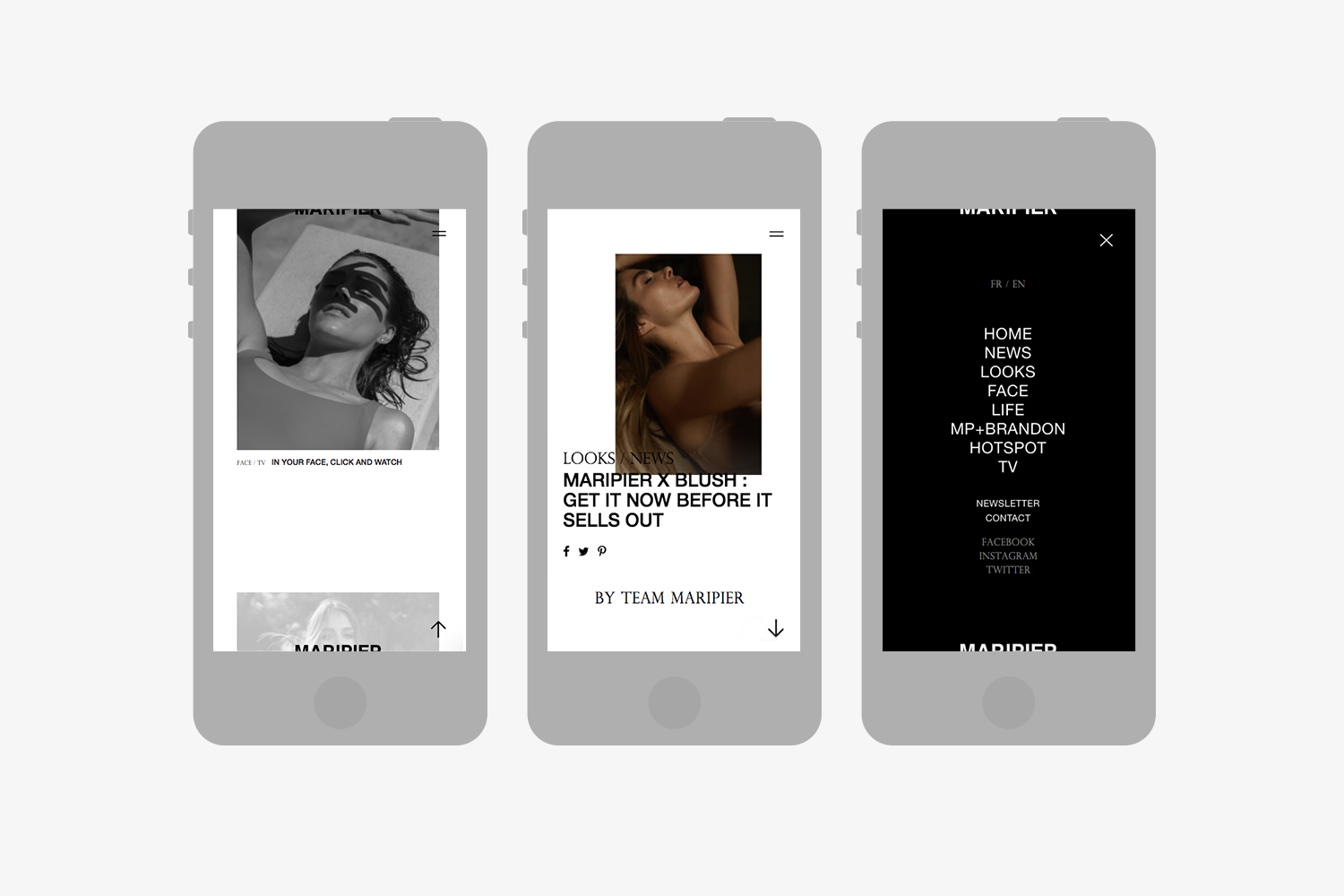 mpm_app.png