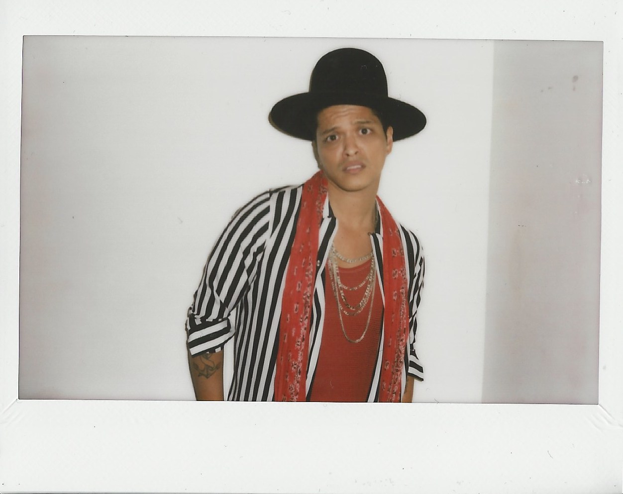 Moonshine Jungle copy.jpeg