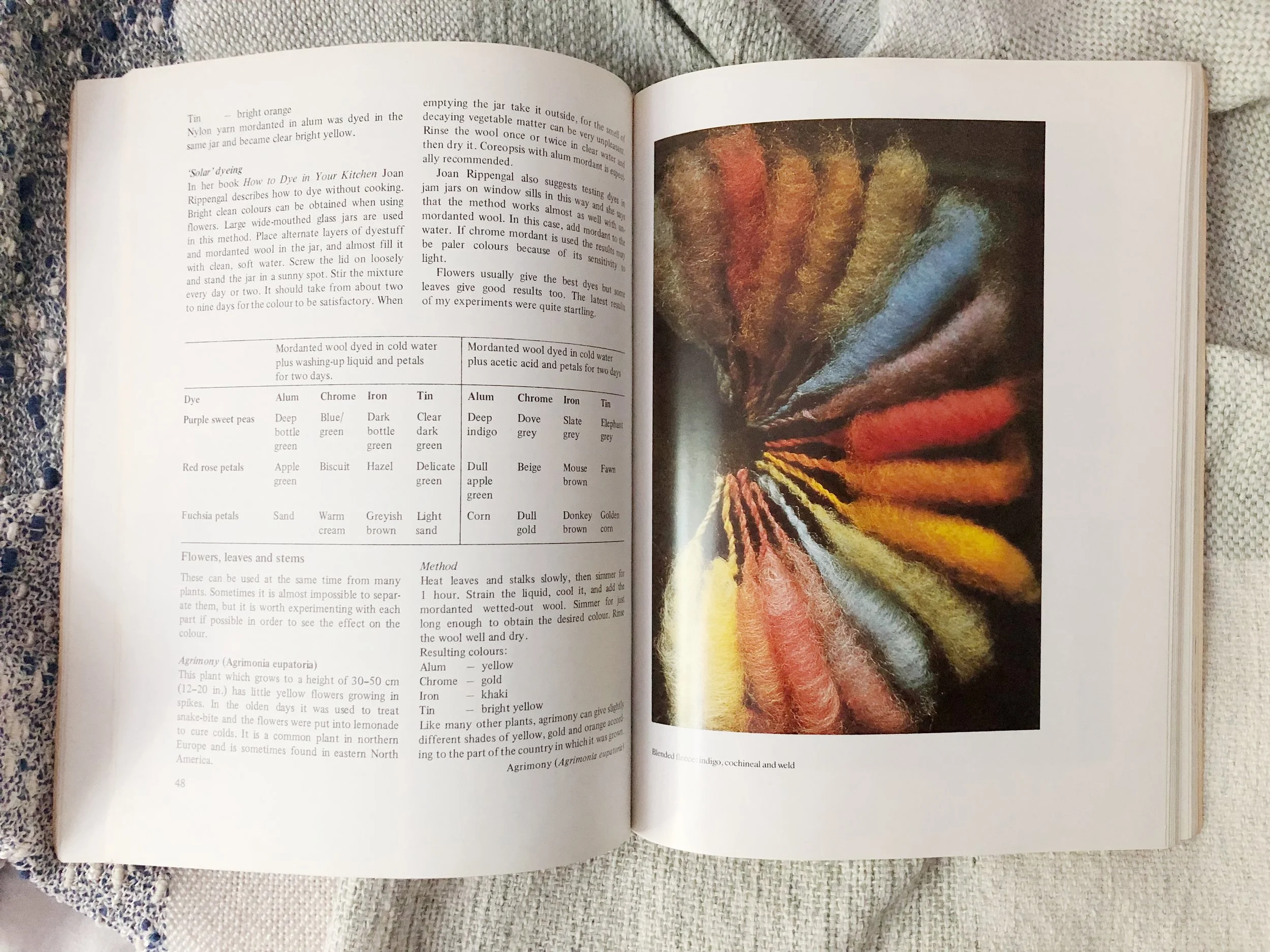 natural dyes for spinners and weavers — Weaver House