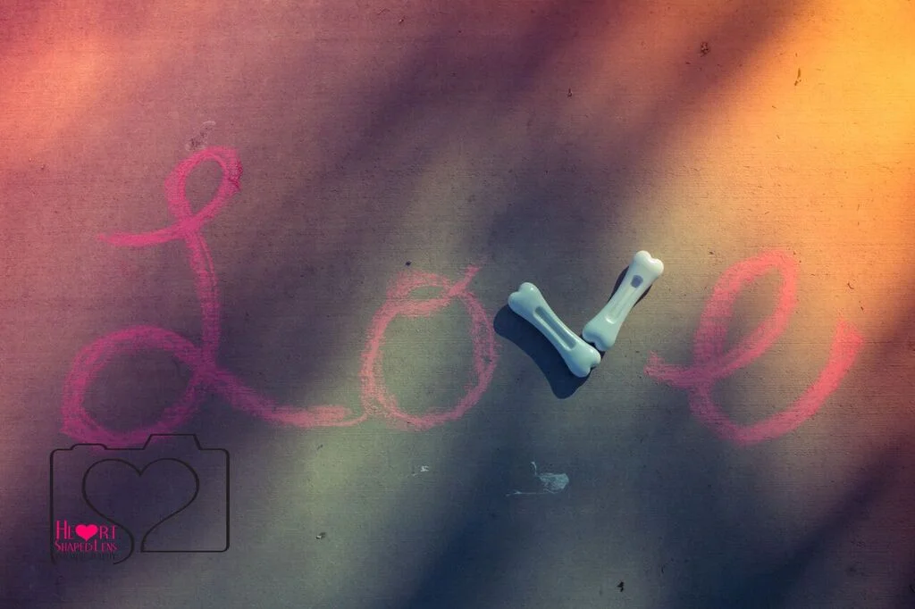 A Mother's Day Surprise