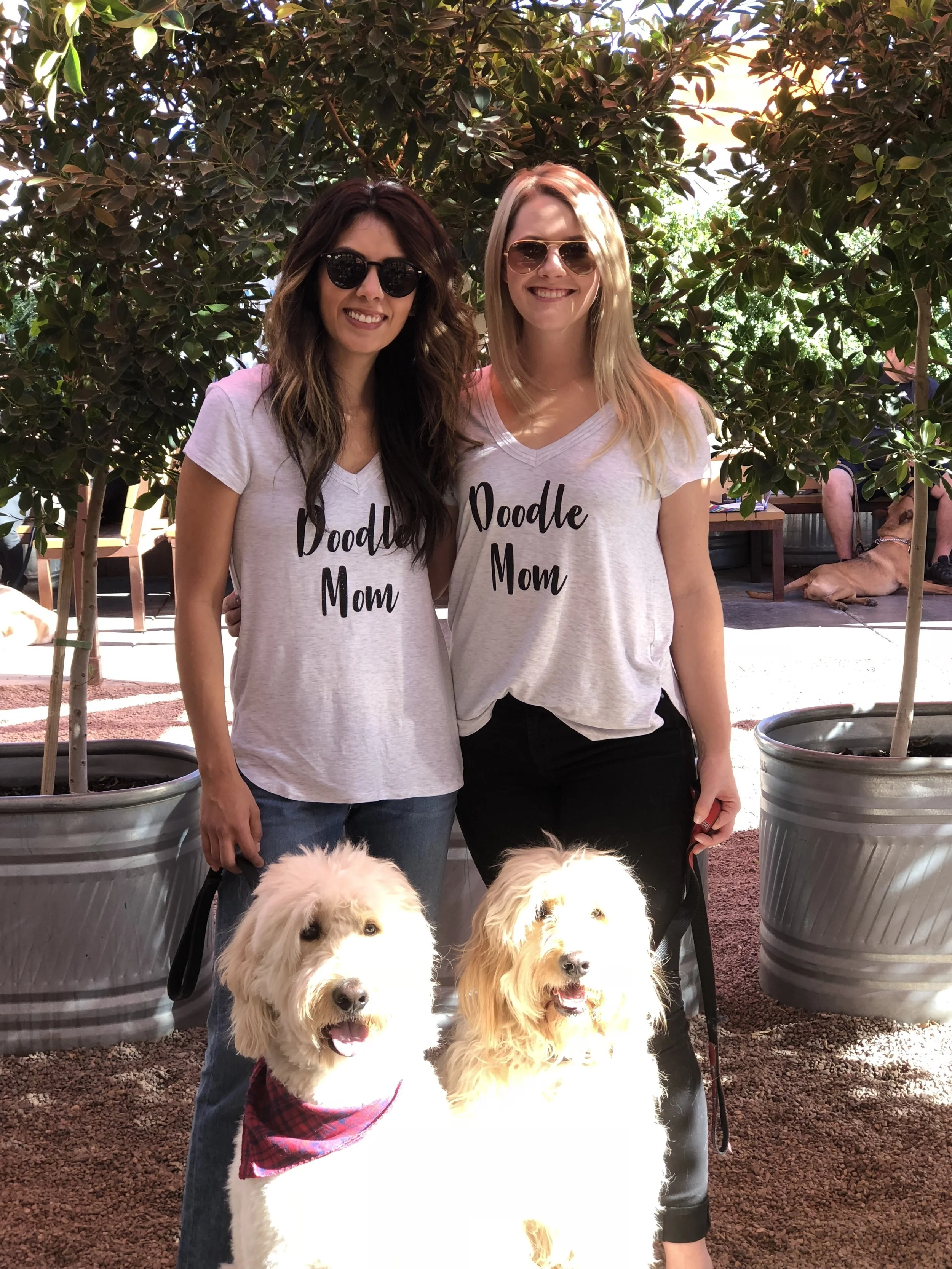 Doodle Mom with Doodles 1.jpg