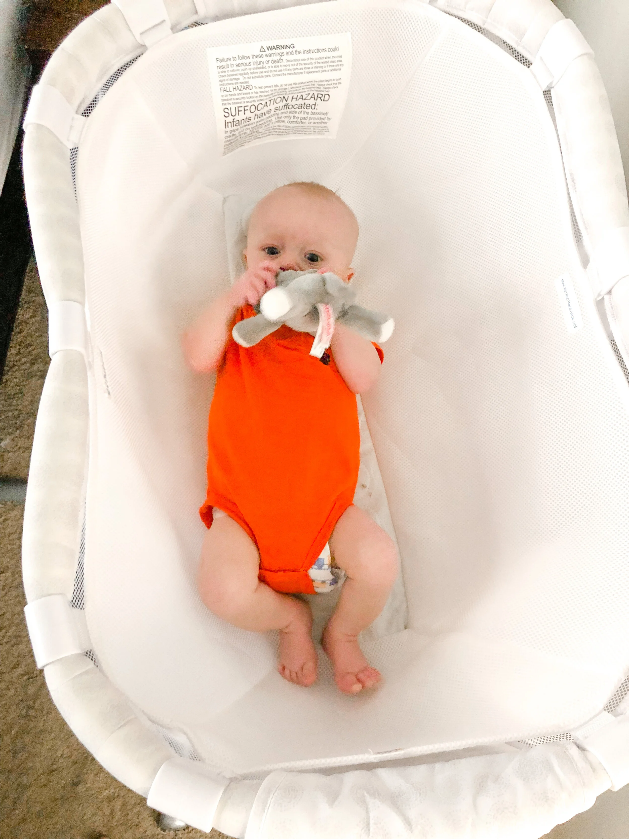 halo bassinest newborn insert instructions