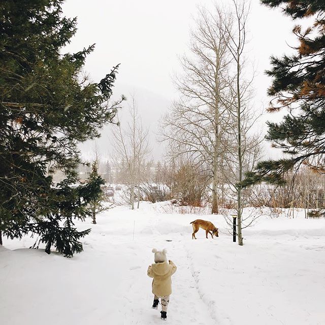 walkin' in a winter wonderland 🎶 #theluandtheroo