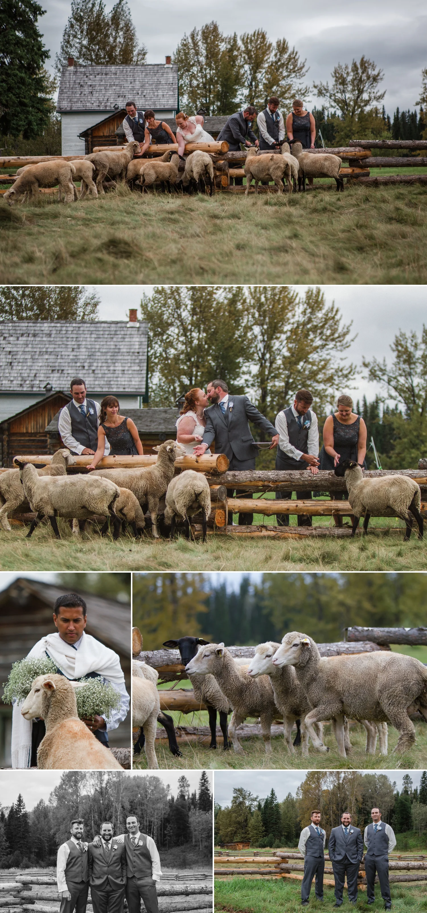 Rob and Kyla - wedding blog 12.jpg
