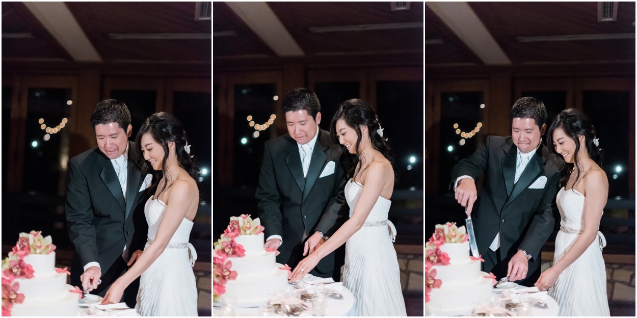 Maui Wedding Photographer