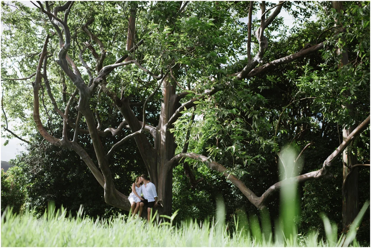 Maui Couples Photography by Naomi Levit Photography