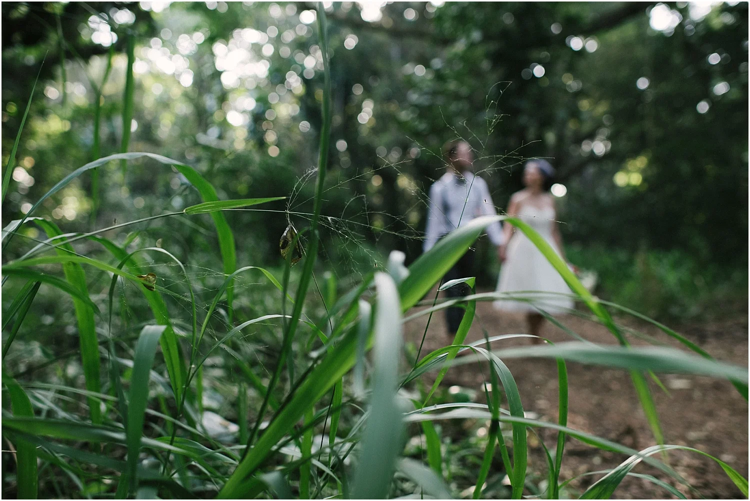 Maui elopement photographer in Kapalua Hawaii