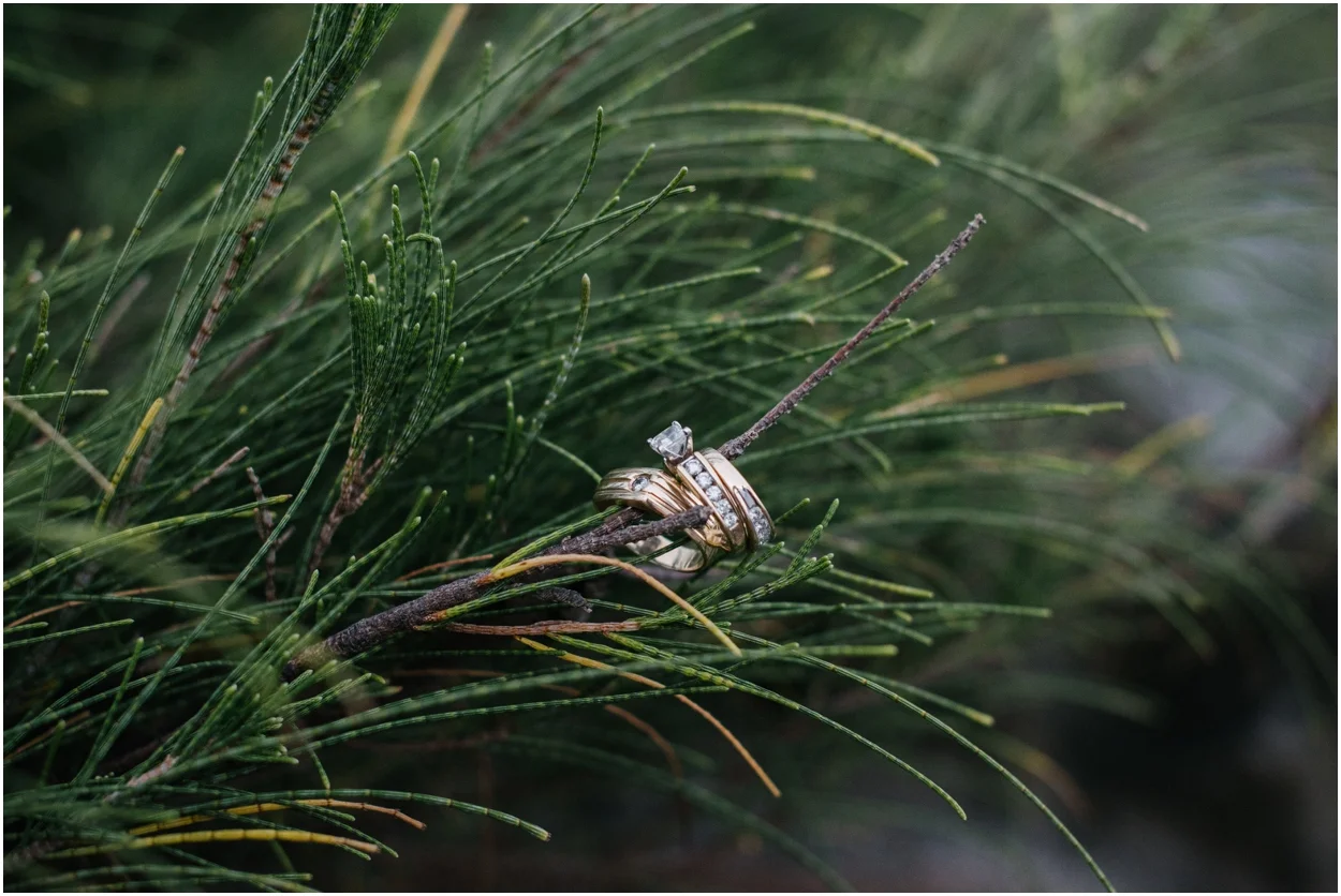 Maui Adventure Elopement by Naomi Levit Photography