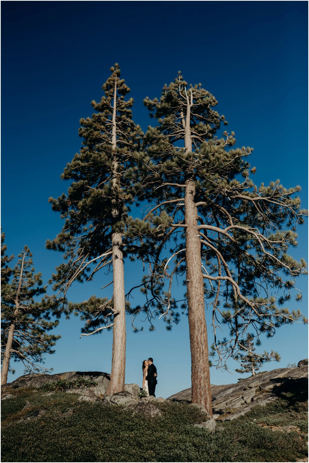 Donner Pass Adventure Elopement in Truckee, California