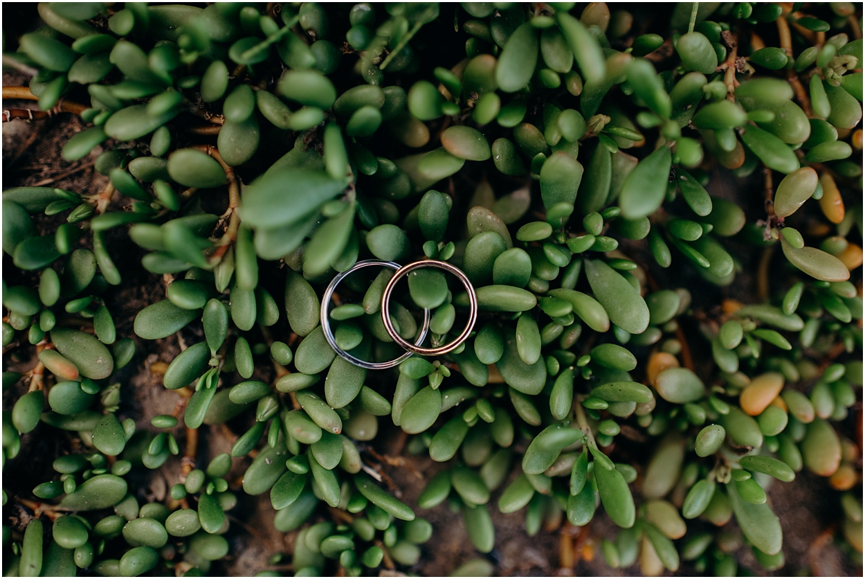 maui beach wedding at ironwoods beach by maui wedding photographer naomi levit