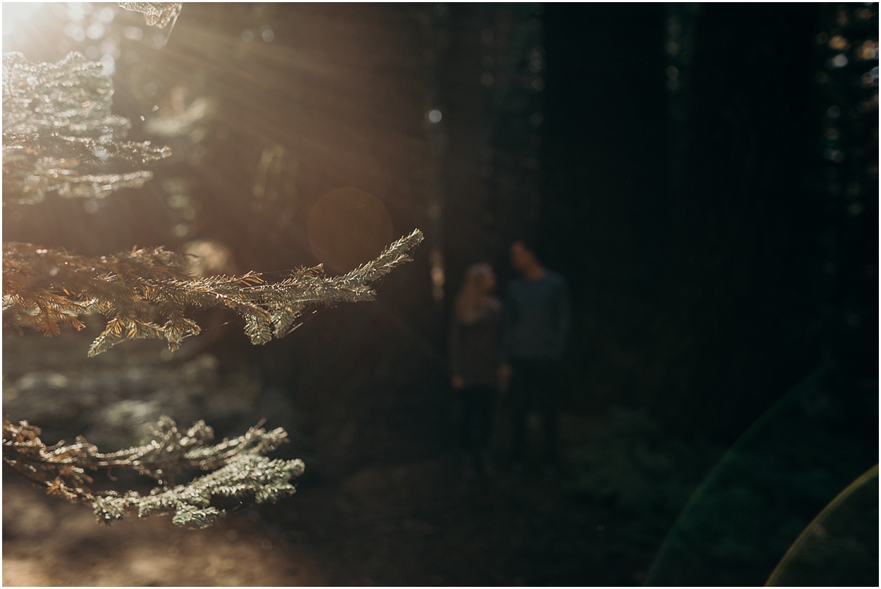 yosemite national park engagement session