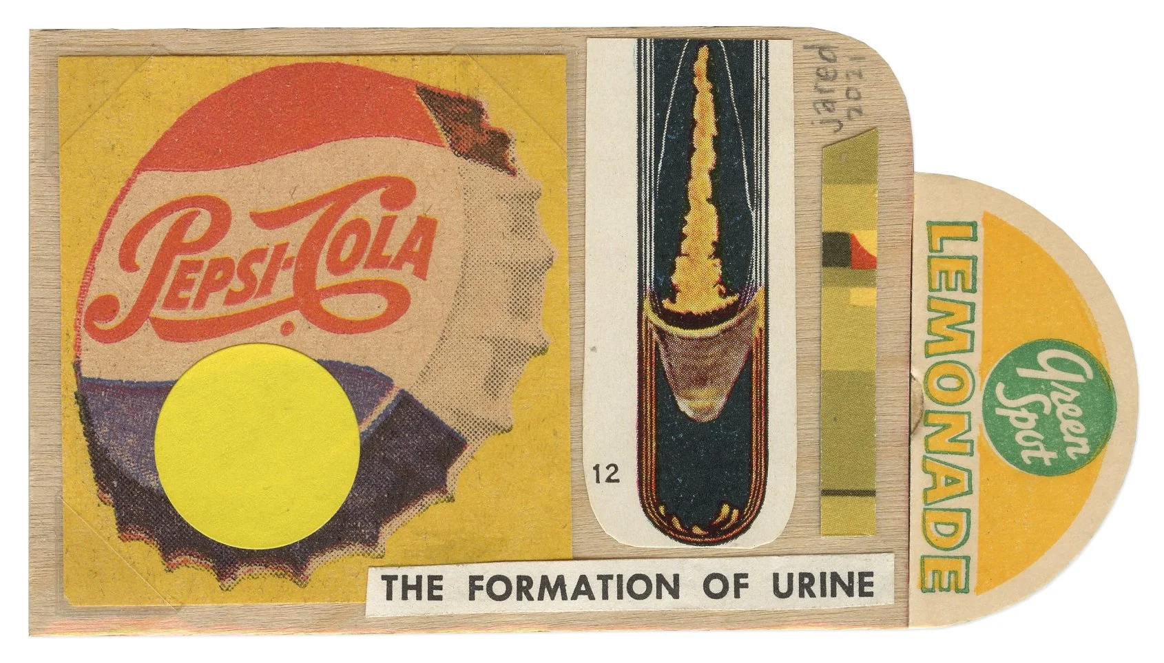 The Formation Of Urine