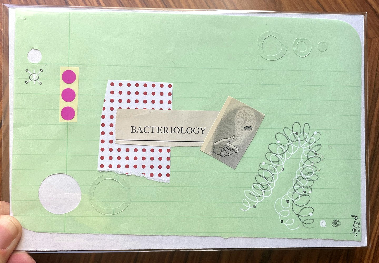 Bacteriology_Pic.jpg