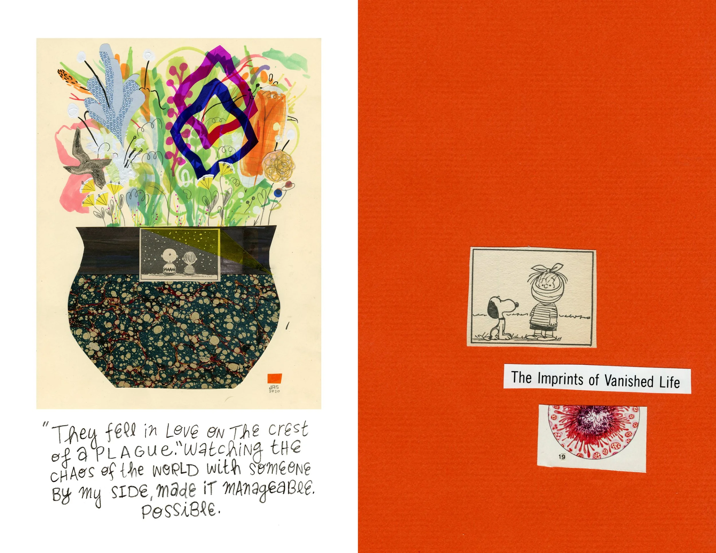 On The Crest of A Plague Spread