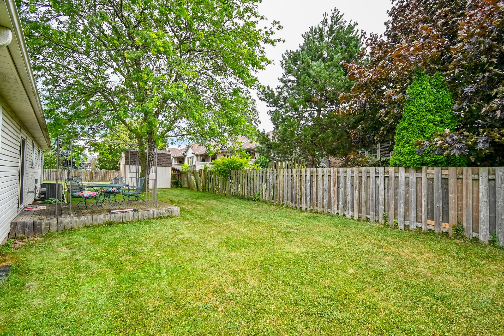 DSC_2684.jpg
