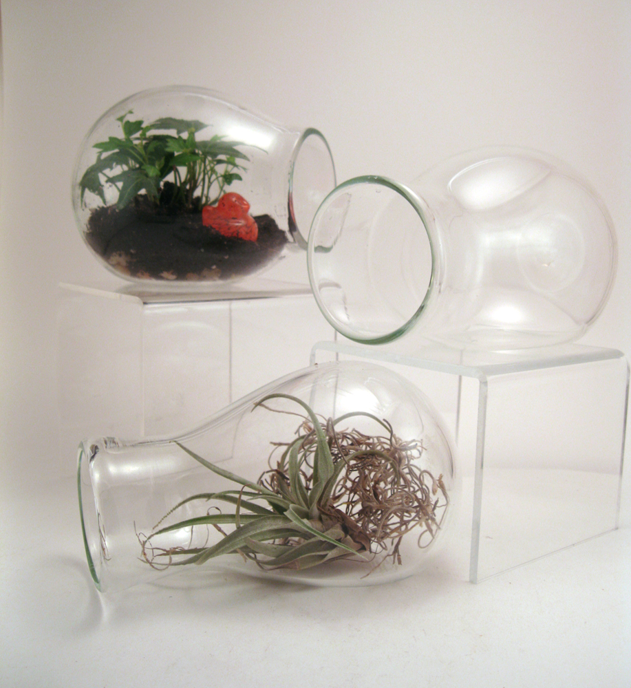 Blown Glass Terrariums
