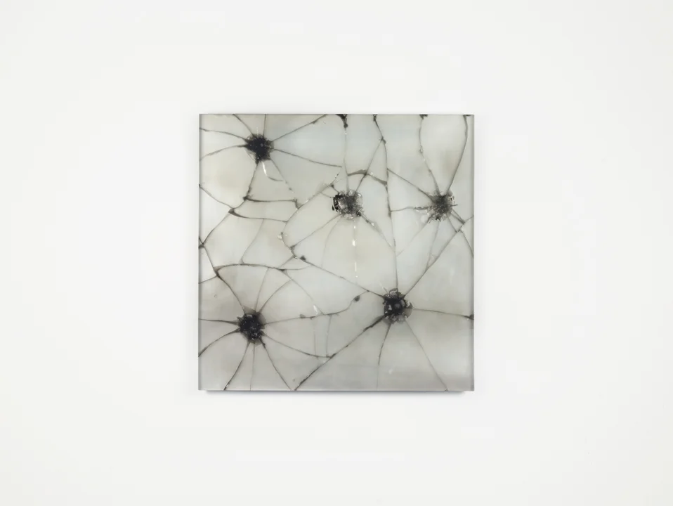 Capillary Web Size.jpg