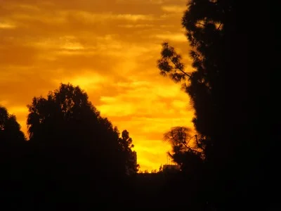 Sunrise paints this gorgeous sky briefly down Olympic Boulervard in Los Angeles. This is as real as your so-called life gets. …Q on Star Trek Next Generation 