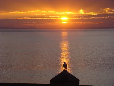 Sunrise over a seagull perched on the portal to Surfriders Beach in Malibu. When the deepest part of you becomes engaged in what you are doing...you are doing what you were meant to be doing. …Gary Zukav