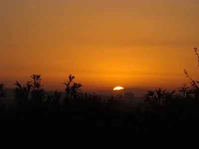 Sunrise over Santa Monica on Ashland Street. You might be in casual conversation and people will tell you how bad life is. How it will be getting worse. And you will be standing and nodding in agreement, eventually wondering why your life is full of potholes and disappointments. …Nancy Zala