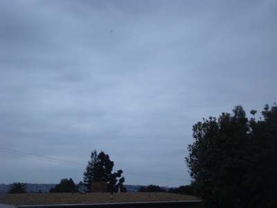 Sunrise-not for this Veteran's Day in Mar Vista, &nbsp;LA.Knowing the Truth is not a process of self-hypnosis, but one of a gradual unfoldment of the inner self.&nbsp; Beginning is about creating the momentum to keep going all the way to the finish …
