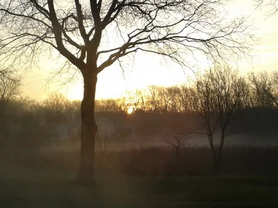 Sunrise in a mist in Hoffman Estates, Illinois I don't say we all ought to misbehave, but we ought to look as if we could. ….Orson Welles