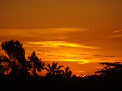 Sunrise presses through at the the horizon as a jet lands on this gorgeous day at LAX. Writing is a socially acceptable form of schizophrenia. … E.L. Doctorow