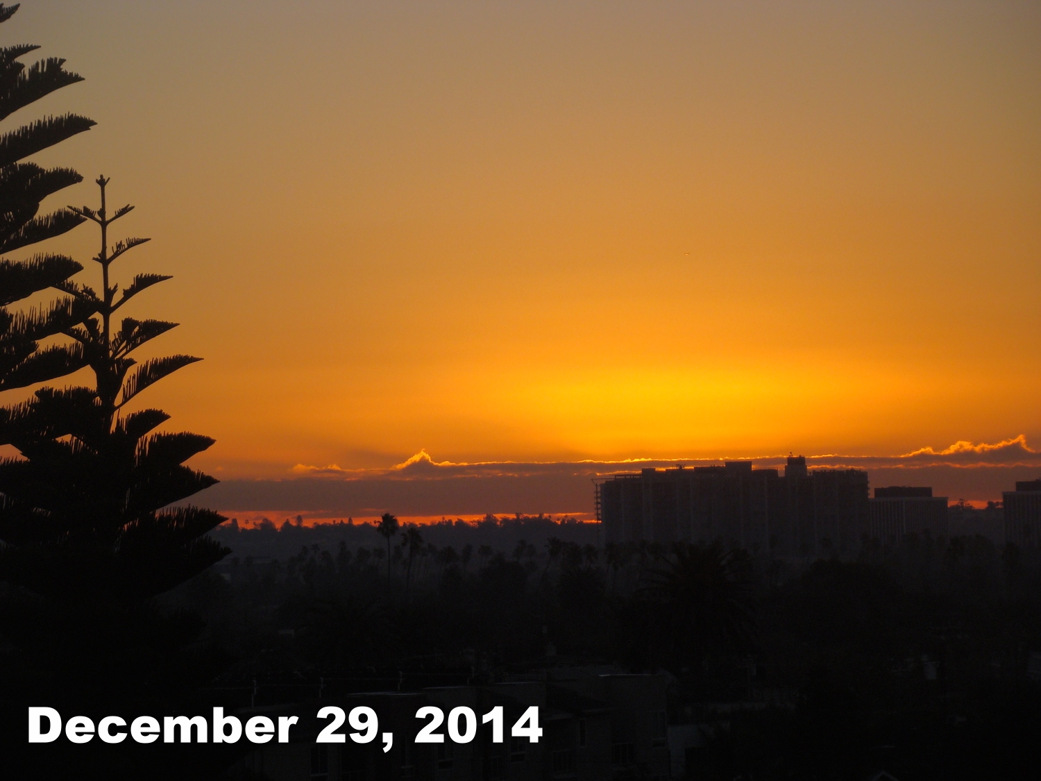 Dec2914_smca_2.JPG
