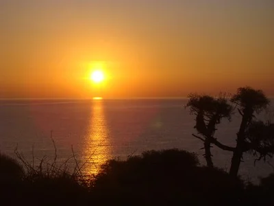 Sunrise in paradise....Point Dume in Malibu with its fascinating Coreopsis I have two sticky notes that sit on either side of my computer. One says, “Put in the time” and the other says, “Start now.” …Stephen Gaghan