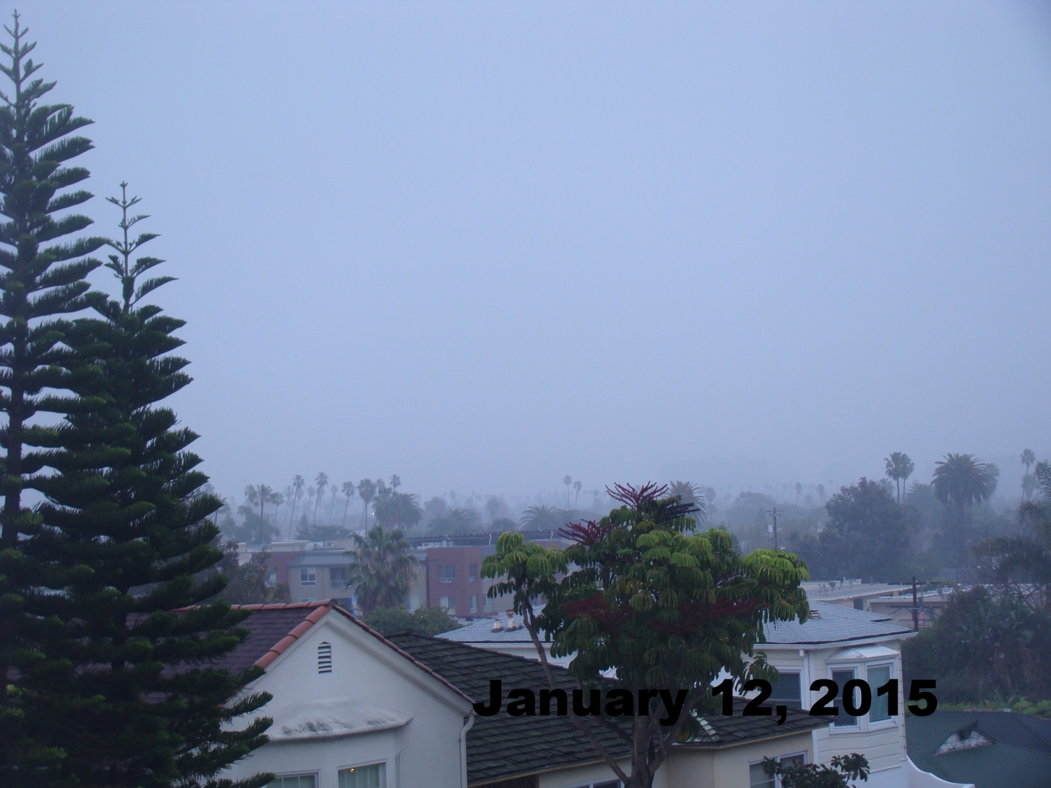 Jan1215_smca_1.JPG