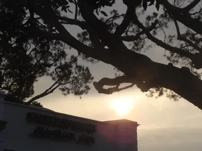 Sunrise pokes through the clouds over Starbucks in Mar Vista. The dream, to be valid, must be impossible. Not just difficult. Impossible. Which implies an ideal never attainable but nevertheless stubbornly to be pursued. A striving for what cannot be achieved but still is worth the effort. …Dale Wasserman