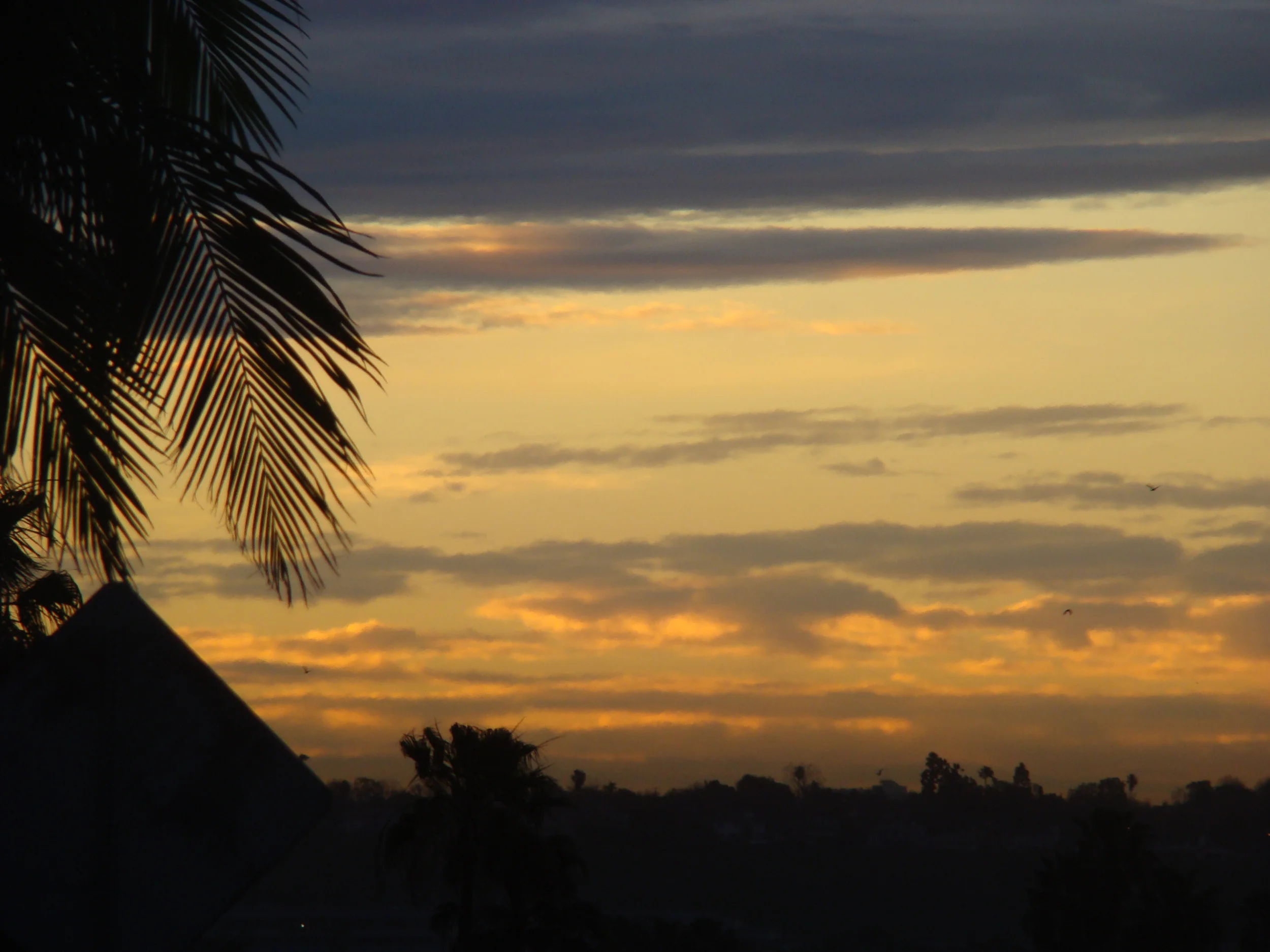 Sunrise from Inglewood at Modjeska in Mar Vista. Judge your success by what you had to give up in order to get it. .. Dalai Lama