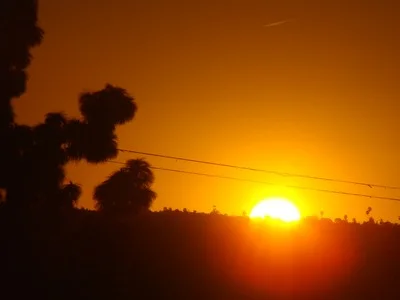 Bright sunrise from Modjeska Road in Mar Vista And the day came when the risk to remain tight in a bud was more painful than the risk it took to blossom . ..Anais Nin