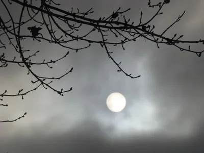 Today's glorious sun emergence after the sunrise-not earlier....in Brentwood. Be who you are and say what you feel because those who mind don't matter and those who matter don't mind. … Dr. Seuss