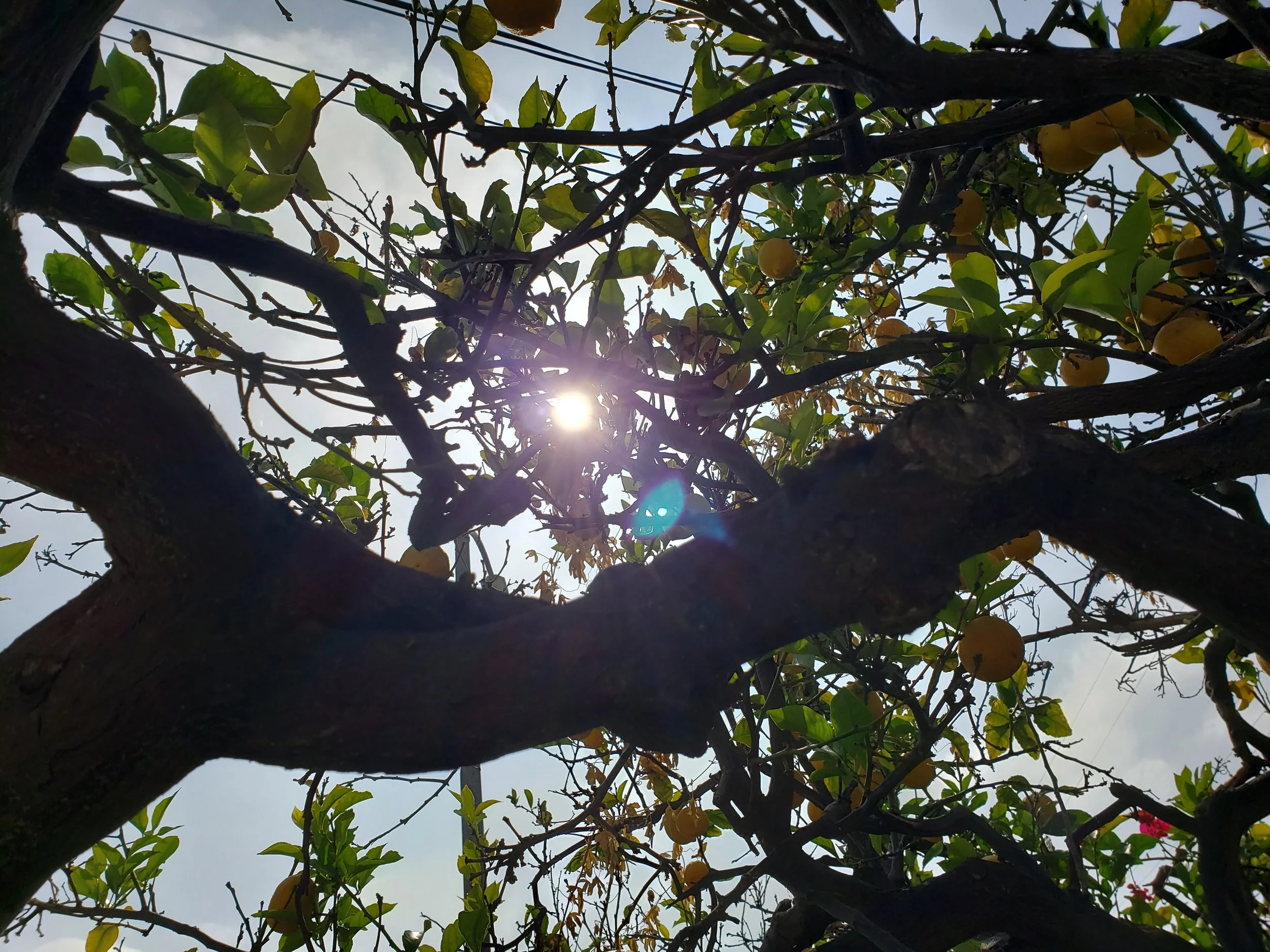 When you look for it, there is nothing to see. When you listen for it, there is nothing to hear. When you use it, it is inexhaustible. …Tao Te Ching