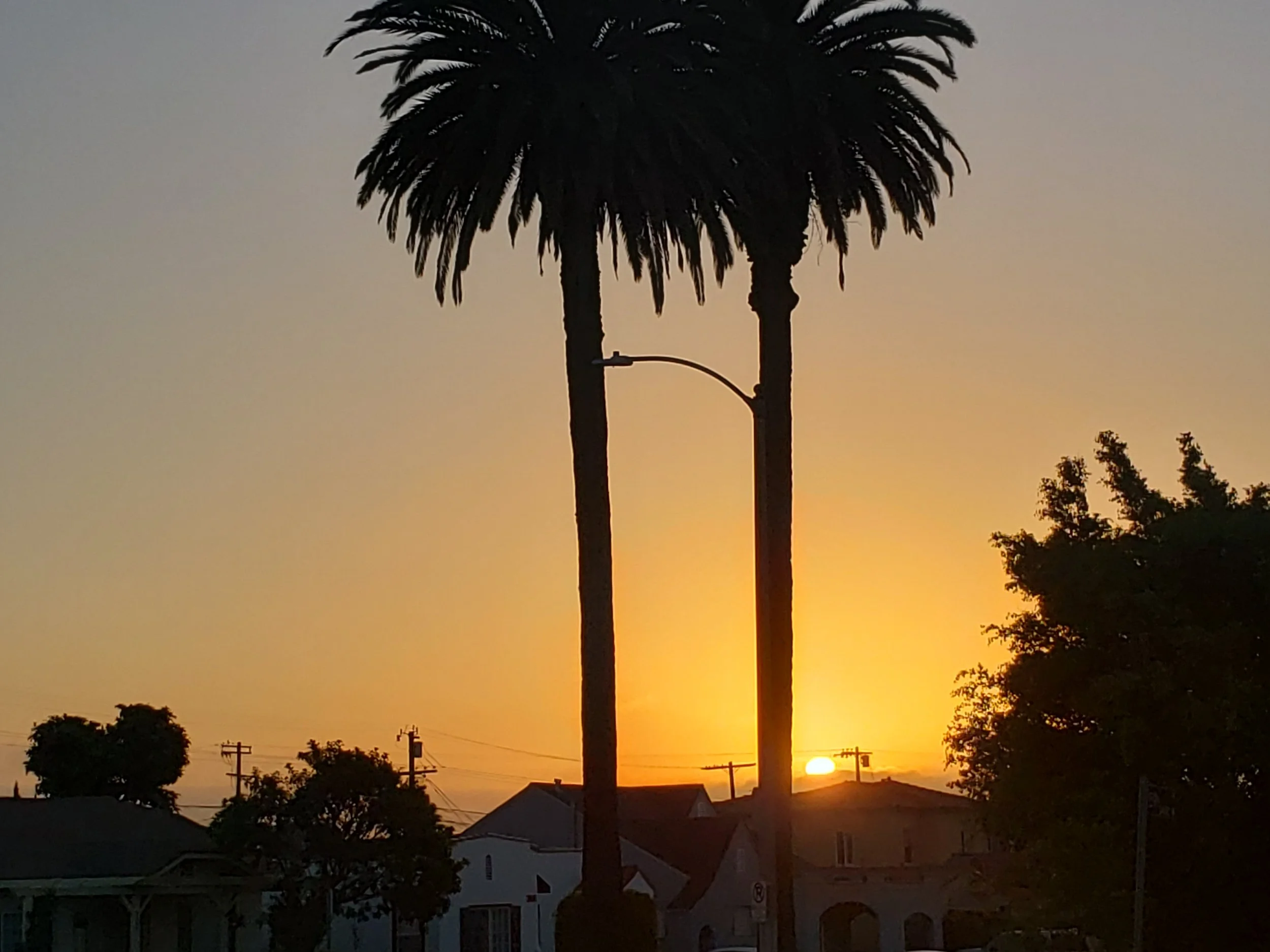 Always dream and shoot higher than you know how to. Don't bother just to be better than your contemporaries or predecessors. Try to be better than yourself. ..William Faulkner