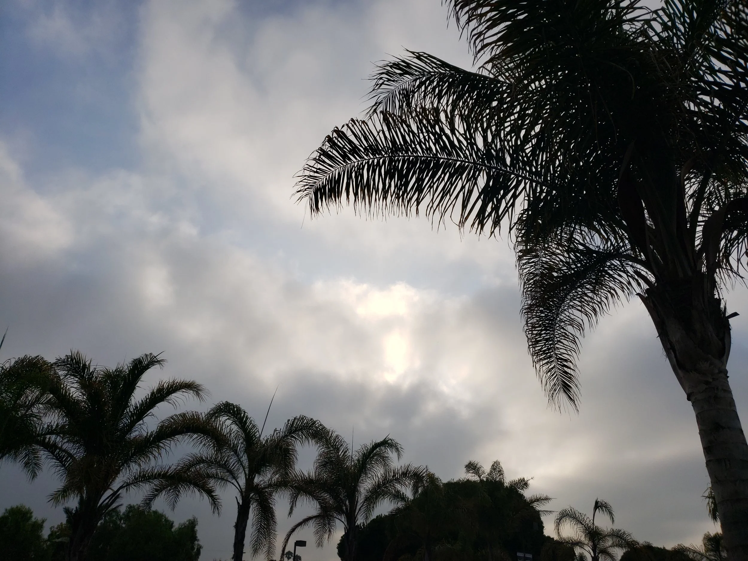 It is God's play of light and shadow that has made certain creation appear as it does to us. When you realize this, you see it as a dream motion picture. ..Paramahansa Yogananda