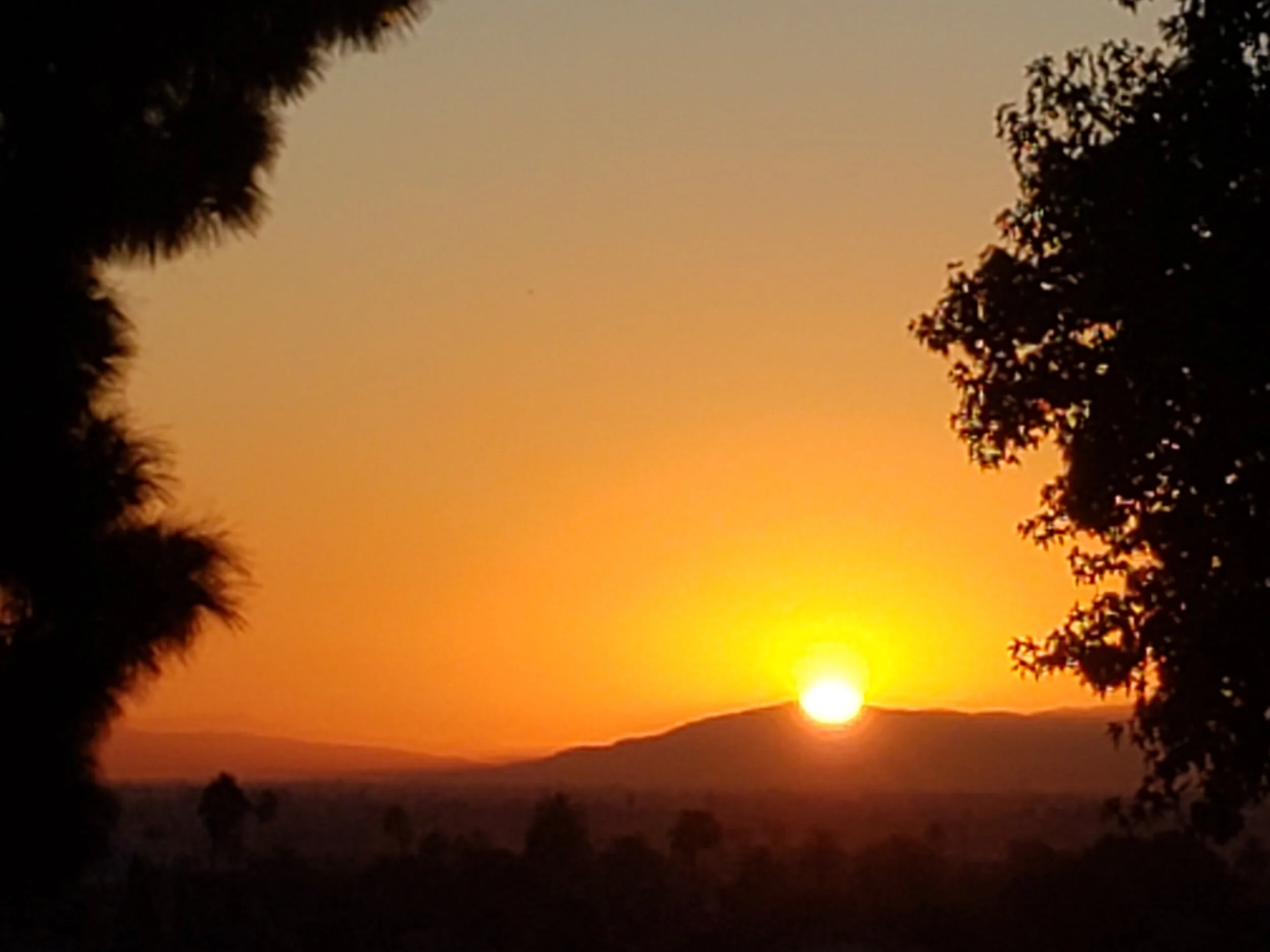 Don’t miss your miracle by rushing on without reveling in the bliss of gratitude. …Mary Weems