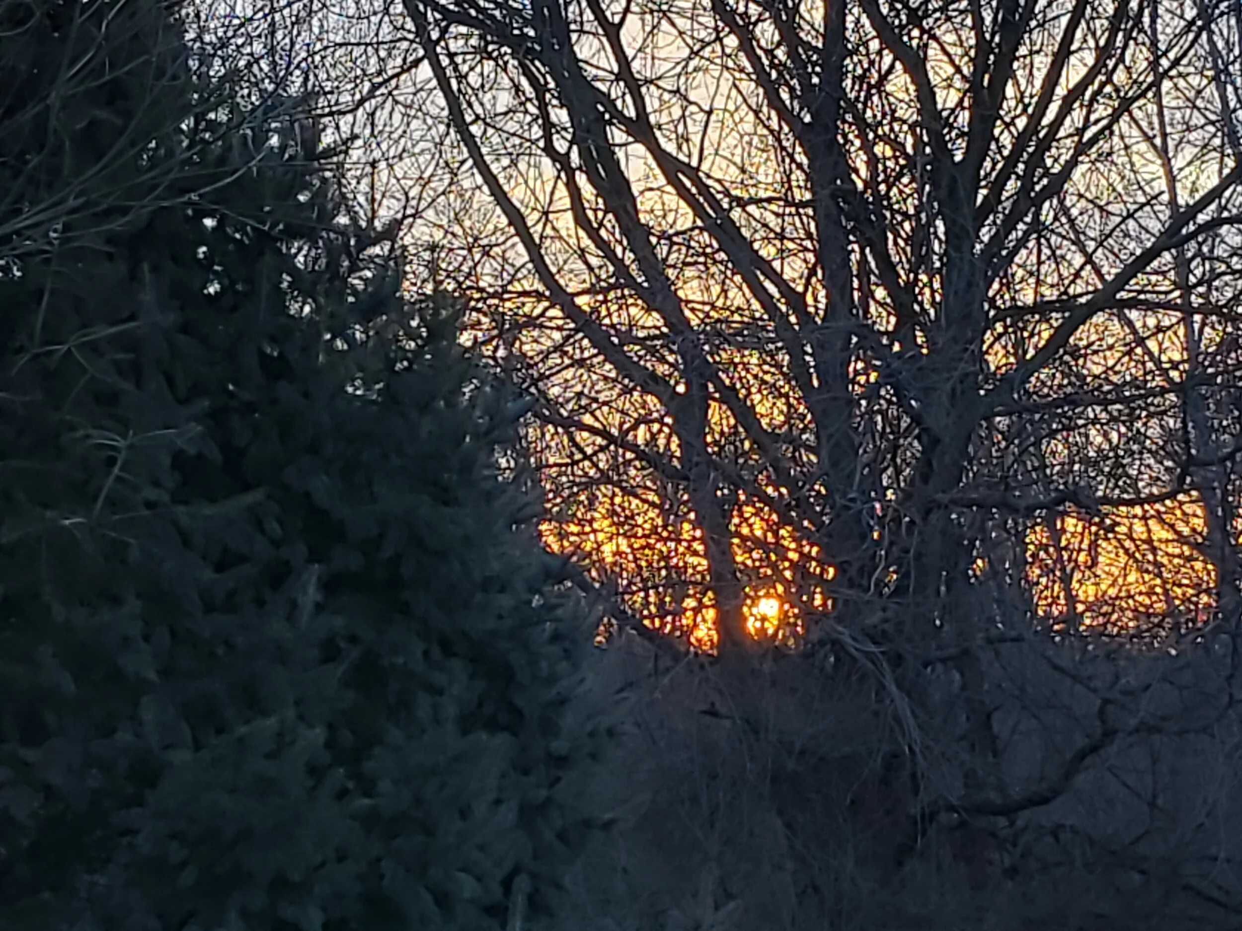 Love is the ultimate truth at the heart of evolution.&nbsp; …Deepak Chopra