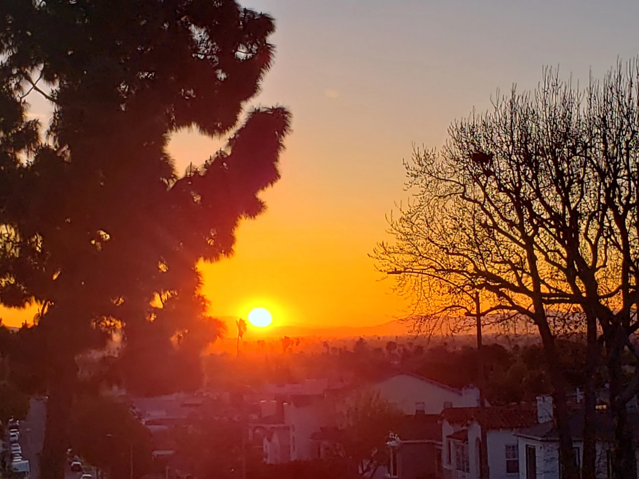 If you can be absolutely comfortable with not knowing who you are, then what’s left is who you are—the Being behind the human, a field of pure potentiality. …Eckhart Tolle