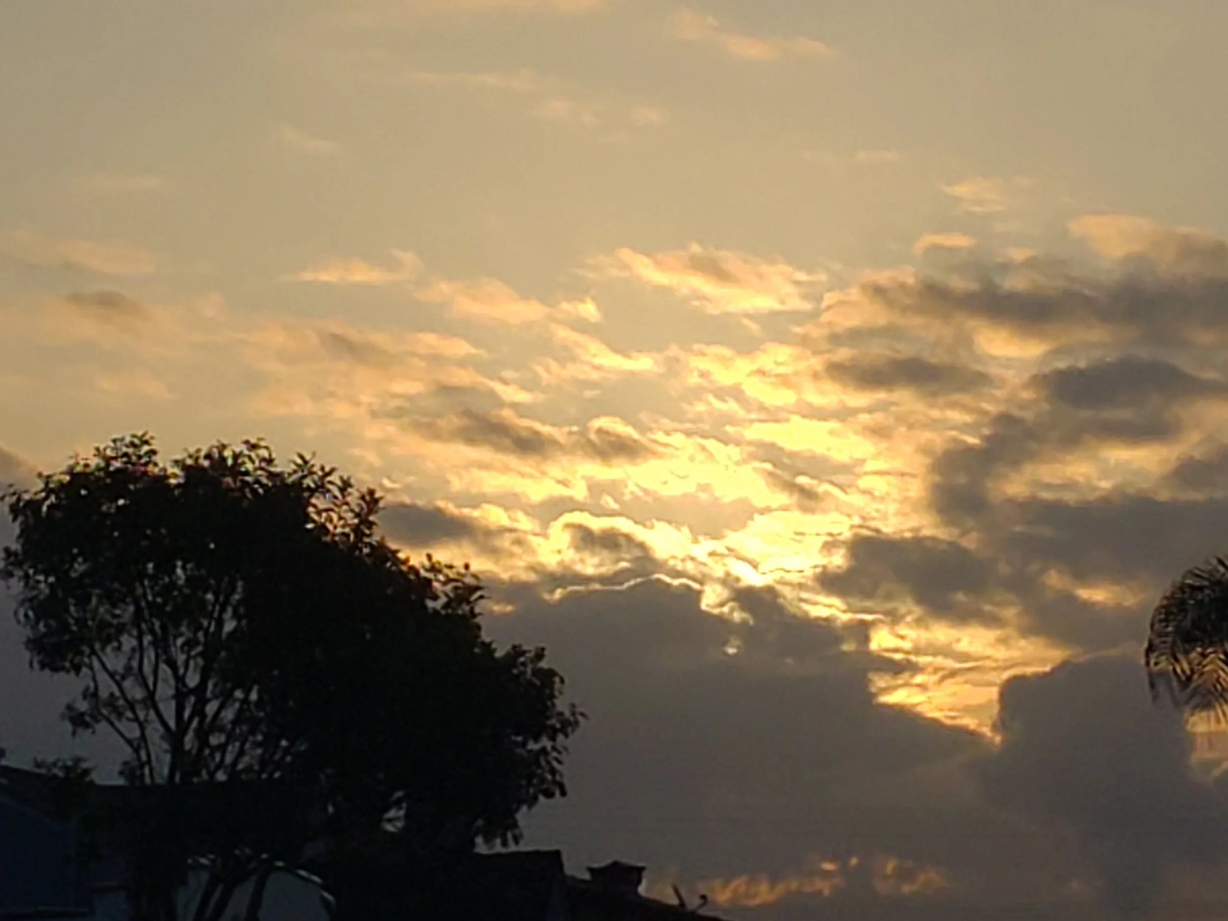 Your every prayer and every plea, your every tear and every tantrum….make me want to prove you whole instead of wrong, holy instead of hollow. …Karen Brailsford