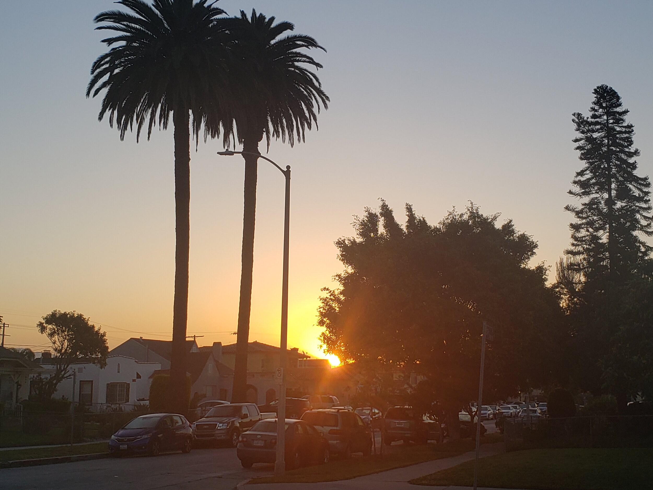 What you resist persists. ….Carl Jung