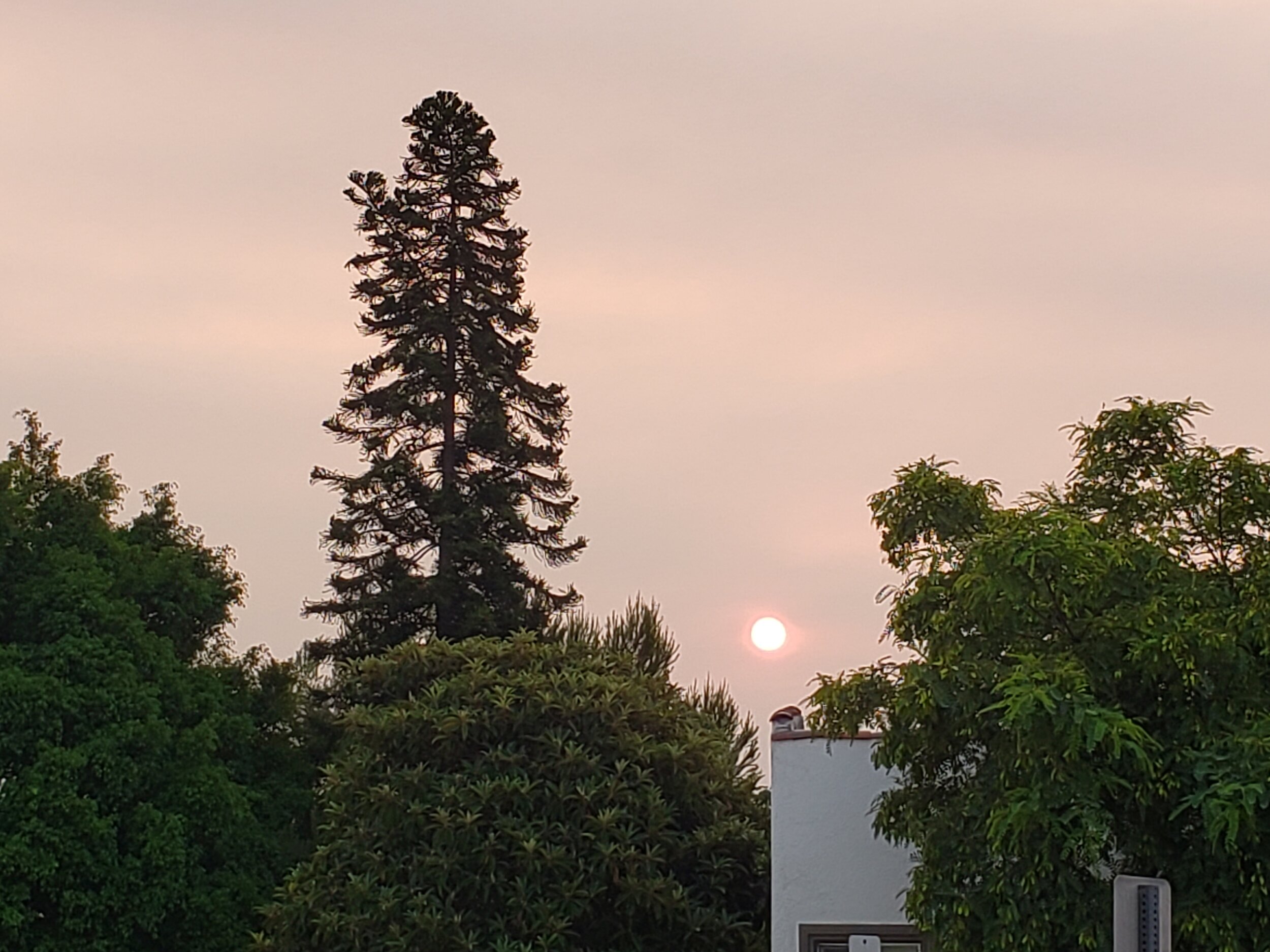 The most unrealistic person in the world is the cynic, not the dreamer. Hope only makes sense when it doesn’t make sense to be hopeful. This is your century. Take it and run as if your life depends on it. …From commencement address by Paul Hawken