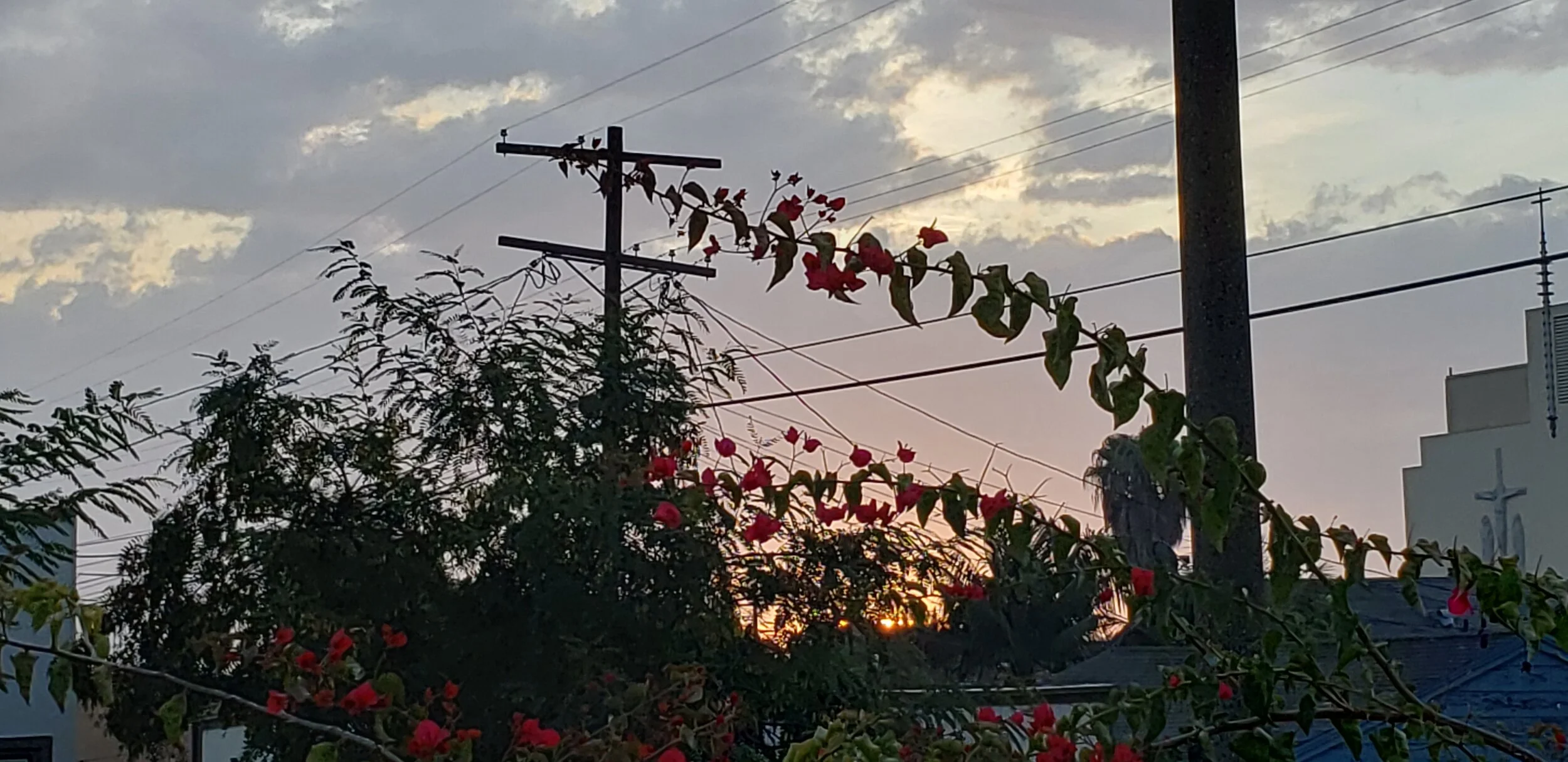 Be grateful for the blessing of being alive in this moment. &nbsp;&nbsp;Then and only then will you truly know how good life is and how great thou art. &nbsp;&nbsp;&nbsp;&nbsp;&nbsp;&nbsp;&nbsp;&nbsp;&nbsp;&nbsp;…Karen Brailsford