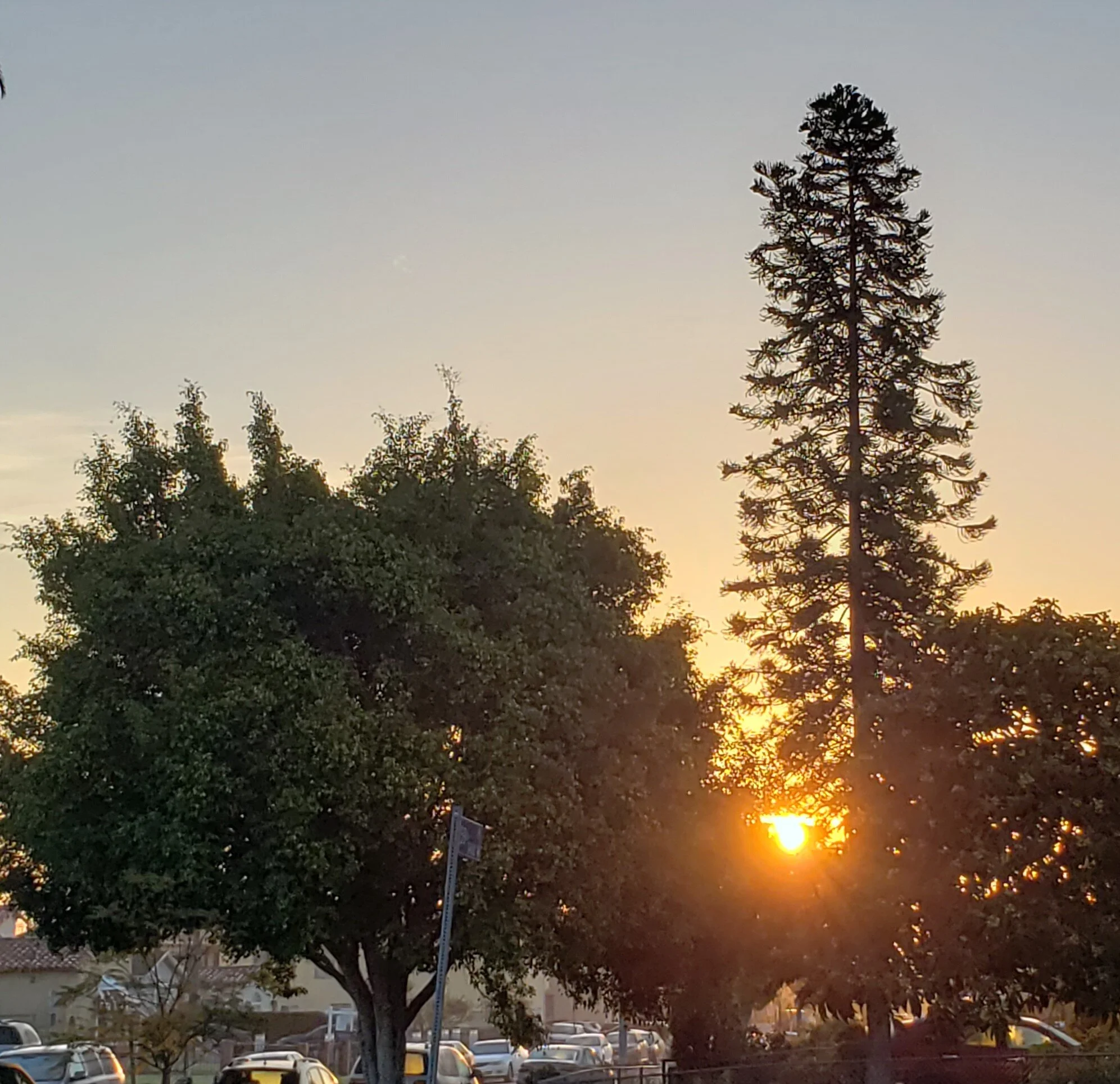 Dream lofty dreams, and as you dream, so you shall become. Your vision is the promise of what you shall one day be; your ideal is the prophecy of what you shall at last unveil. &nbsp;&nbsp;&nbsp;&nbsp;…James Allen