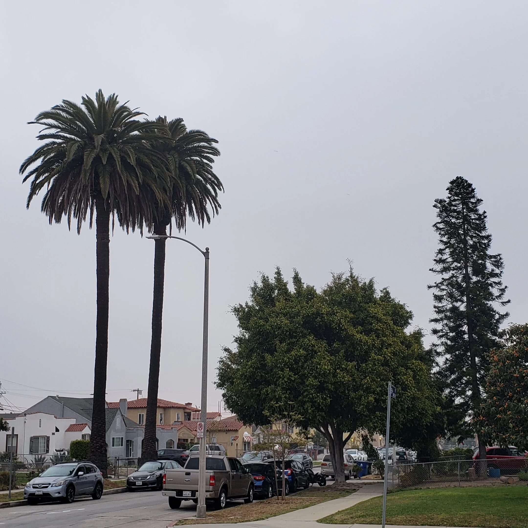 …followed by emergence at 7:45