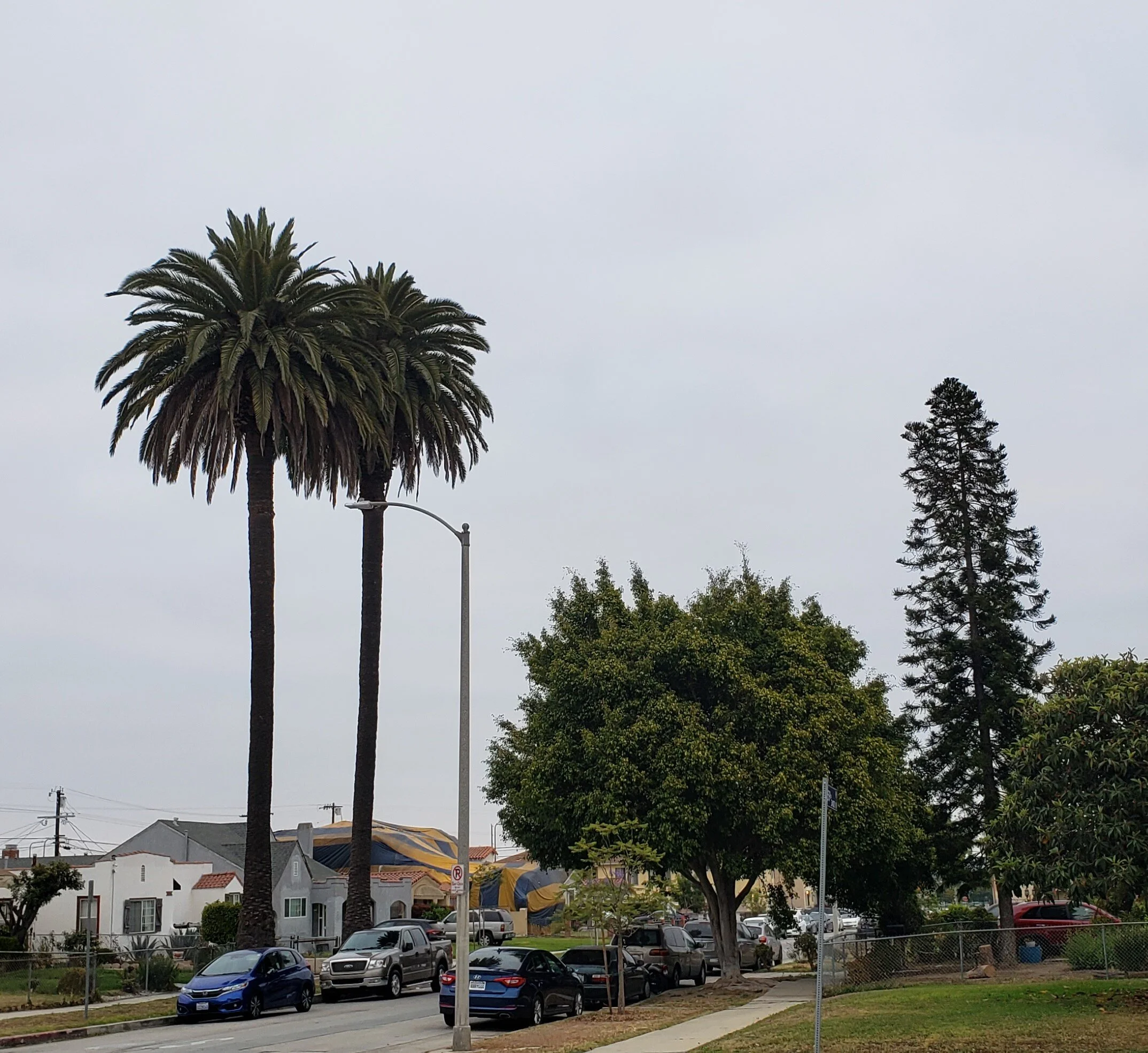 If I control my vibration, I control my life. &nbsp;Imagination creates vibration. &nbsp;We become what we think about. You are the architect of your life. &nbsp;...Robert Proctor