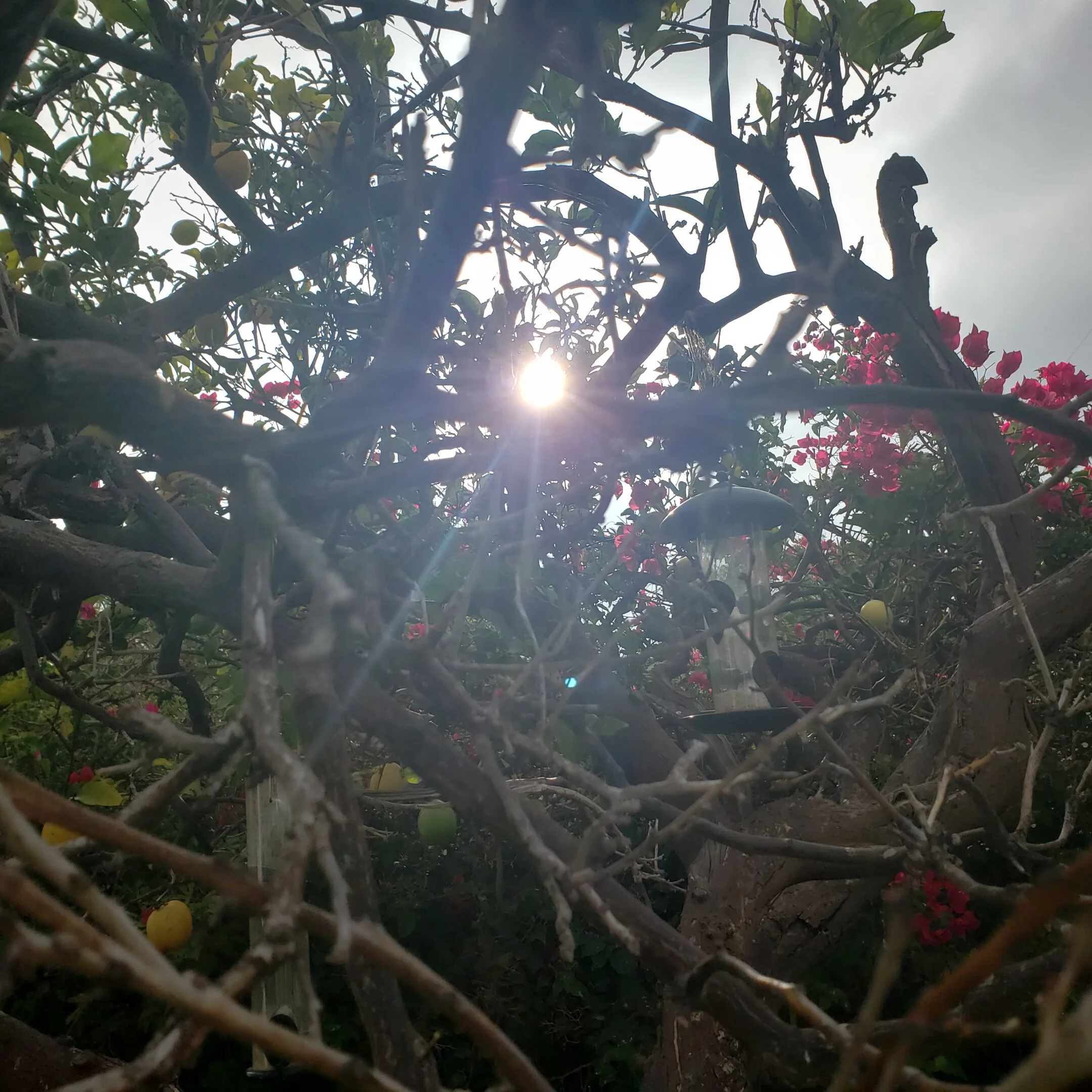 I always wanted to be somebody but now I see that I should have been more specific. &nbsp;…Lily Tomlin